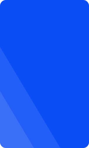 Professional business team